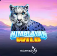 Himalayan Wild - Ekspedycja w Himalaje z yeti